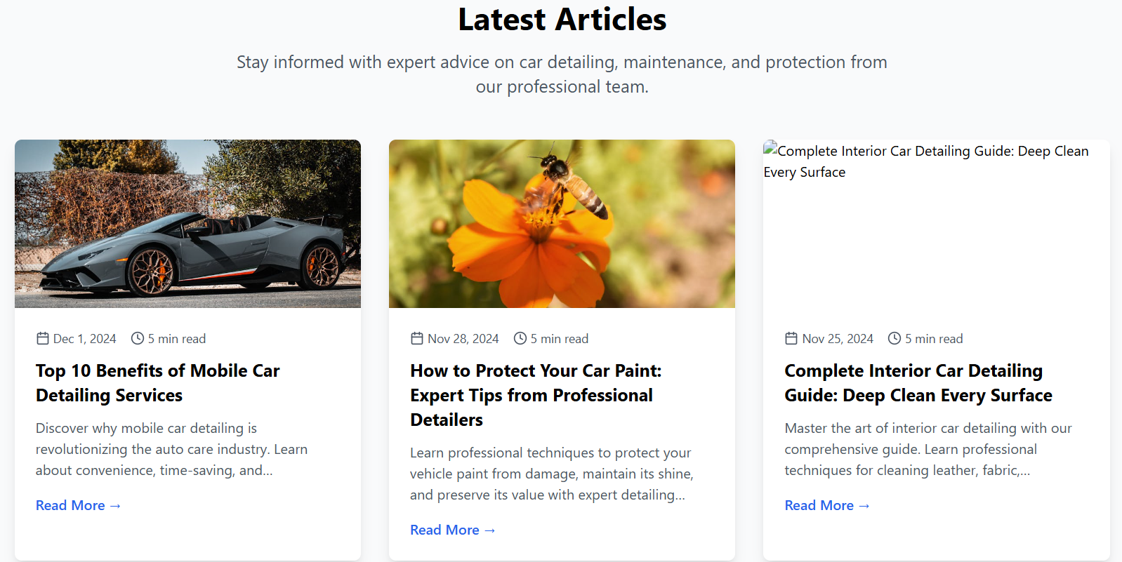 Mobile Auto Spa - Premium Mobile Car Detailing Service Platform - Gallery Image